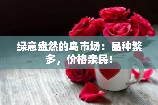 绿意盎然的鸟市场：品种繁多，价格亲民！