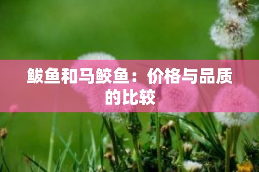 鲅鱼和马鲛鱼：价格与品质的比较