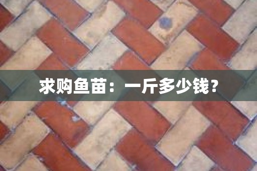 求购鱼苗：一斤多少钱？