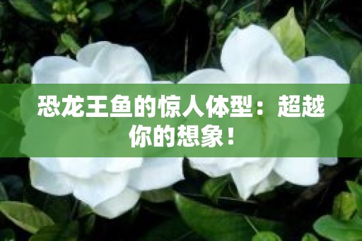 恐龙王鱼的惊人体型：超越你的想象！