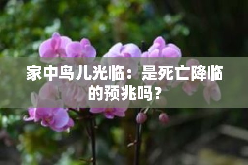 家中鸟儿光临：是死亡降临的预兆吗？