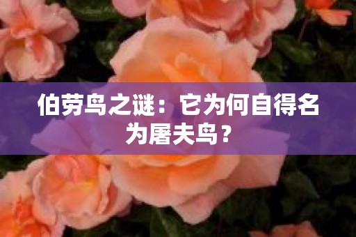 伯劳鸟之谜：它为何自得名为屠夫鸟？