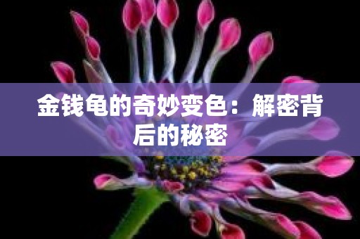 金钱龟的奇妙变色：解密背后的秘密