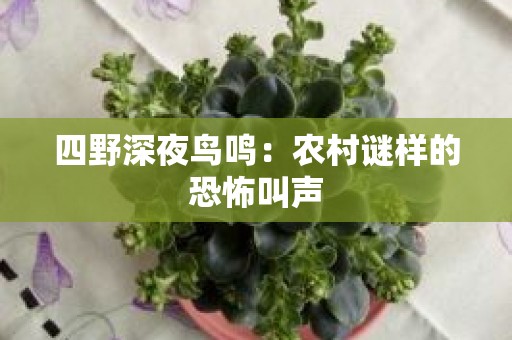 四野深夜鸟鸣：农村谜样的恐怖叫声