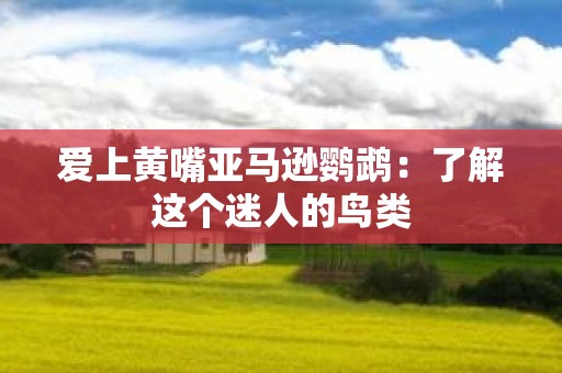 爱上黄嘴亚马逊鹦鹉：了解这个迷人的鸟类