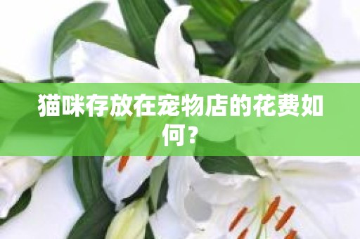 猫咪存放在宠物店的花费如何？
