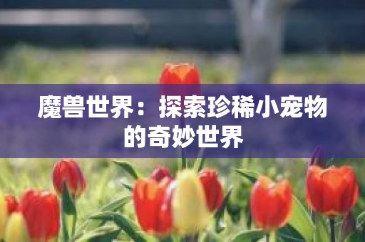 魔兽世界：探索珍稀小宠物的奇妙世界