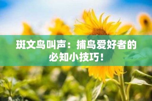 斑文鸟叫声：捕鸟爱好者的必知小技巧！