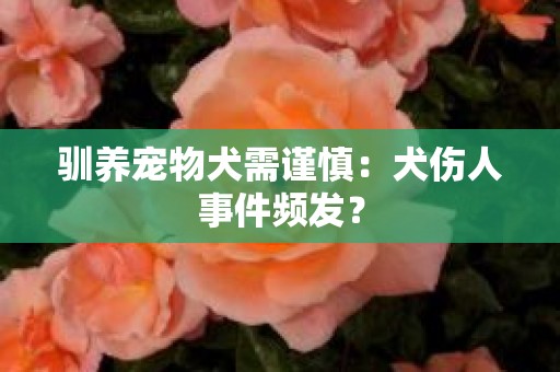 驯养宠物犬需谨慎：犬伤人事件频发？