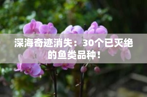 深海奇迹消失：30个已灭绝的鱼类品种！