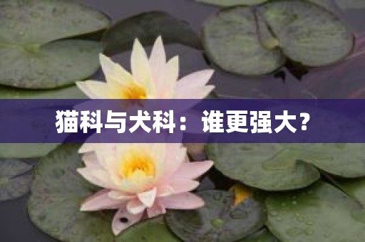 猫科与犬科：谁更强大？