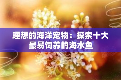 理想的海洋宠物：探索十大最易饲养的海水鱼