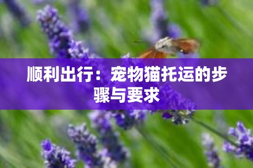 顺利出行：宠物猫托运的步骤与要求