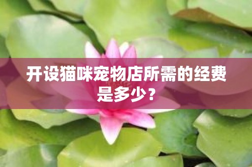 开设猫咪宠物店所需的经费是多少？