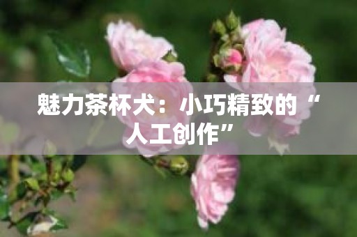 魅力茶杯犬：小巧精致的“人工创作”