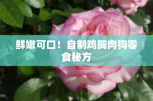 鲜嫩可口！自制鸡胸肉狗零食秘方