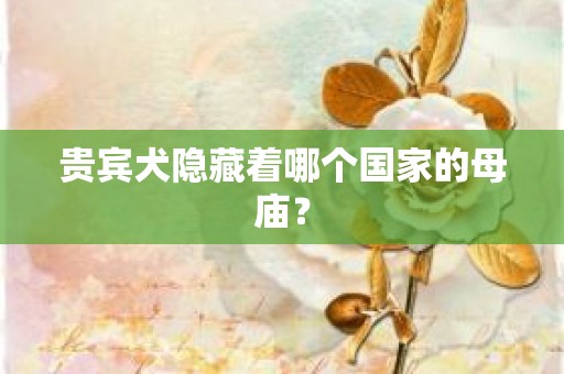 贵宾犬隐藏着哪个国家的母庙？