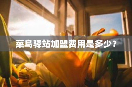 菜鸟驿站加盟费用是多少？