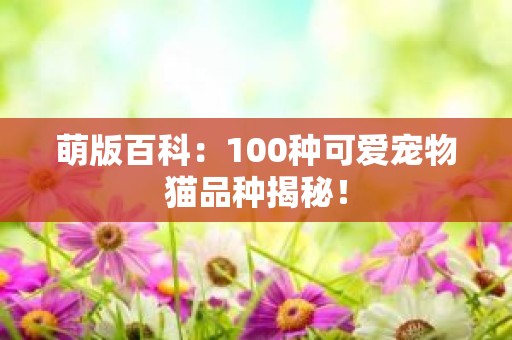 萌版百科：100种可爱宠物猫品种揭秘！