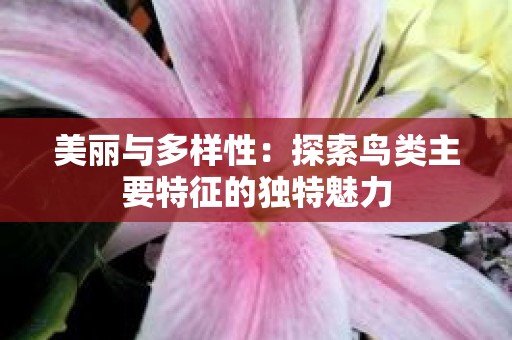 美丽与多样性：探索鸟类主要特征的独特魅力