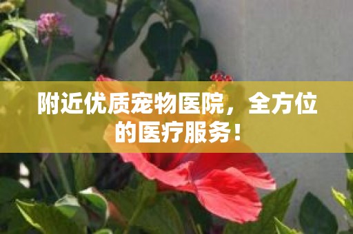 附近优质宠物医院，全方位的医疗服务！