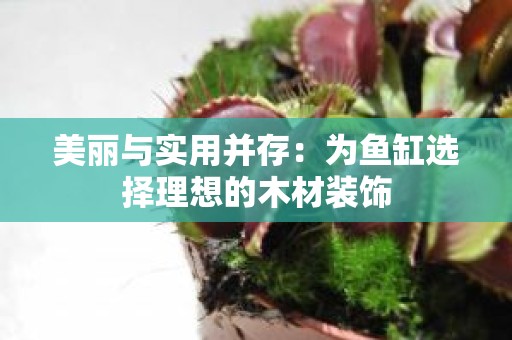 美丽与实用并存：为鱼缸选择理想的木材装饰