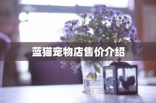 蓝猫宠物店售价介绍