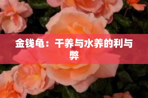 金钱龟：干养与水养的利与弊