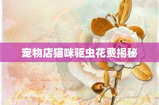 宠物店猫咪驱虫花费揭秘