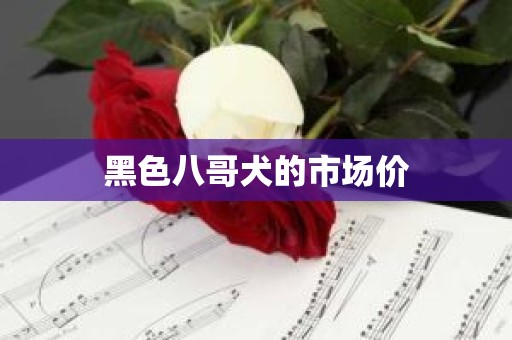 黑色八哥犬的市场价
