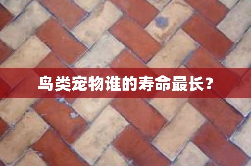 鸟类宠物谁的寿命最长？