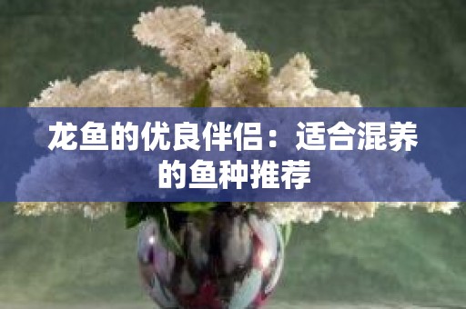 龙鱼的优良伴侣：适合混养的鱼种推荐