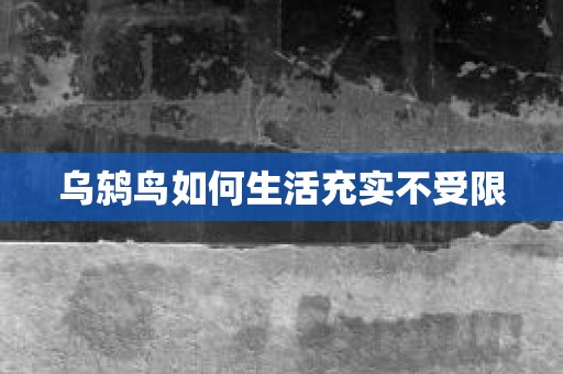 乌鸫鸟如何生活充实不受限