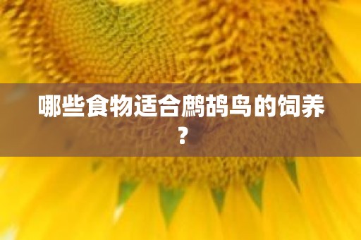 哪些食物适合鹧鸪鸟的饲养？