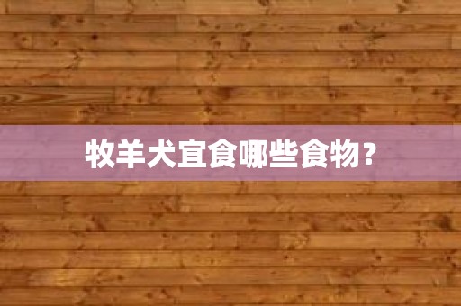 牧羊犬宜食哪些食物？