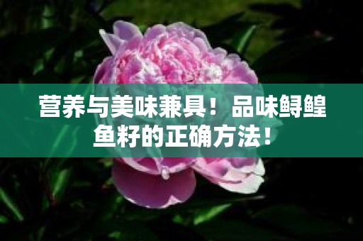 营养与美味兼具！品味鲟鳇鱼籽的正确方法！