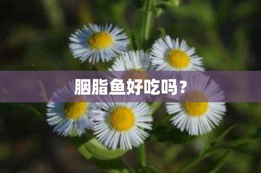 胭脂鱼好吃吗？