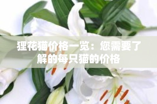 狸花猫价格一览：您需要了解的每只猫的价格