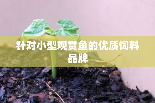 针对小型观赏鱼的优质饲料品牌
