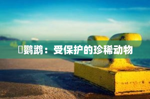 鸮鹦鹉：受保护的珍稀动物