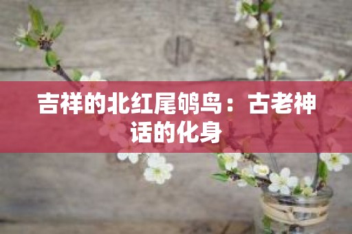 吉祥的北红尾鸲鸟：古老神话的化身