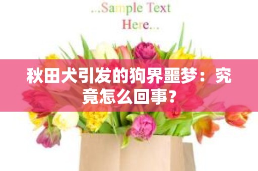 秋田犬引发的狗界噩梦：究竟怎么回事？