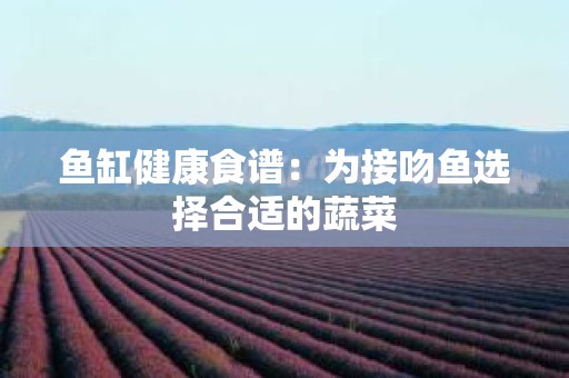 鱼缸健康食谱：为接吻鱼选择合适的蔬菜