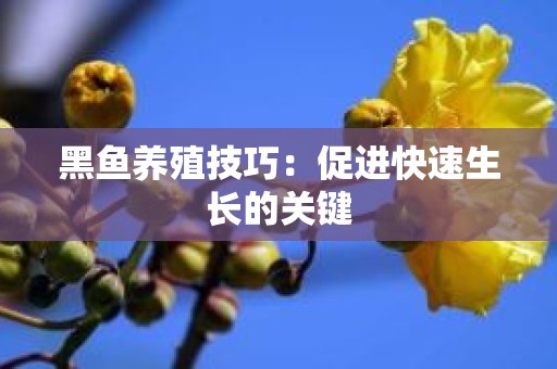 黑鱼养殖技巧：促进快速生长的关键
