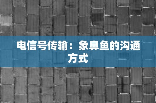 电信号传输：象鼻鱼的沟通方式