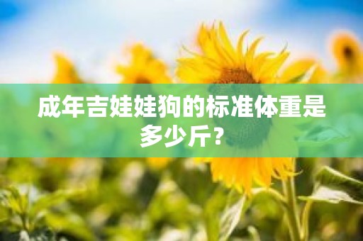 成年吉娃娃狗的标准体重是多少斤？