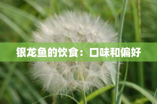 银龙鱼的饮食：口味和偏好
