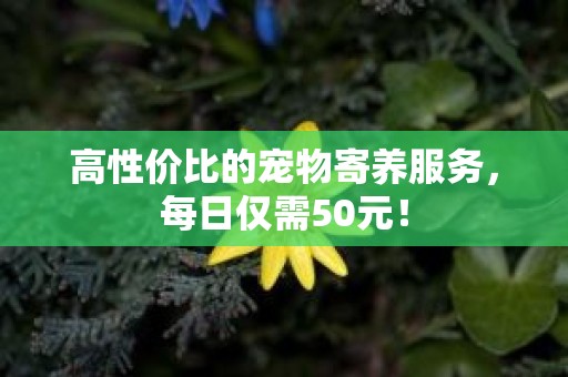 高性价比的宠物寄养服务，每日仅需50元！