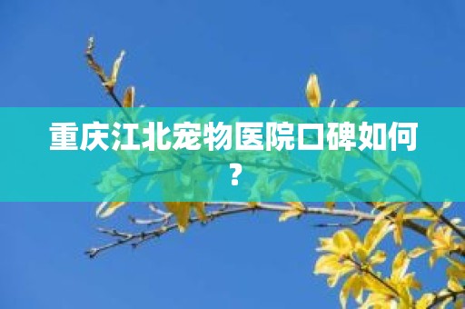 重庆江北宠物医院口碑如何？