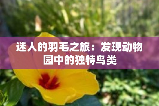 迷人的羽毛之旅：发现动物园中的独特鸟类